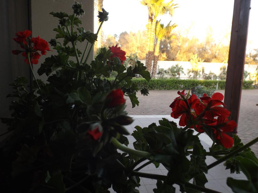 Villetta Del Salento Exclusive B&B Gallipoli Bagian luar foto